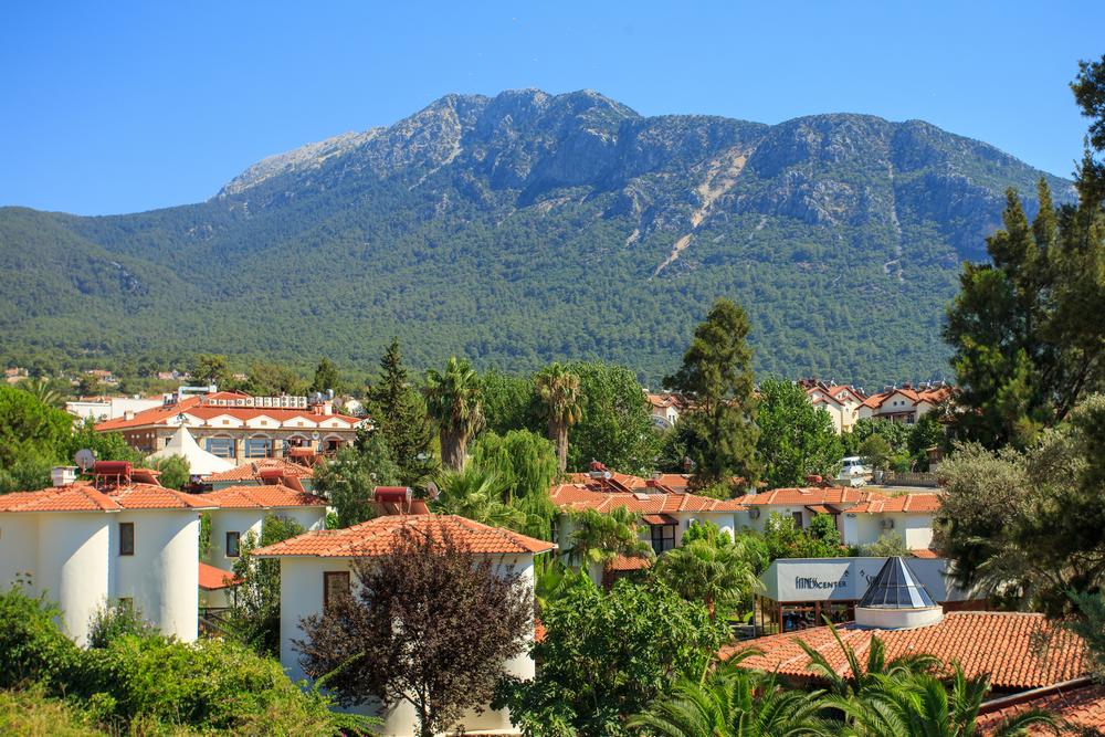 معلومات عنا