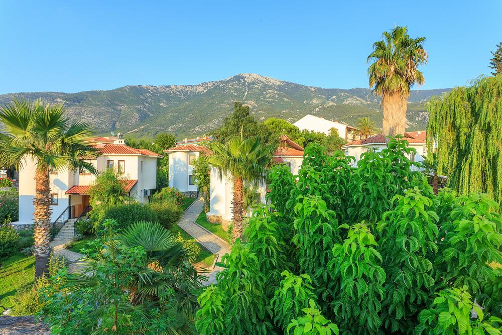 معلومات عنا