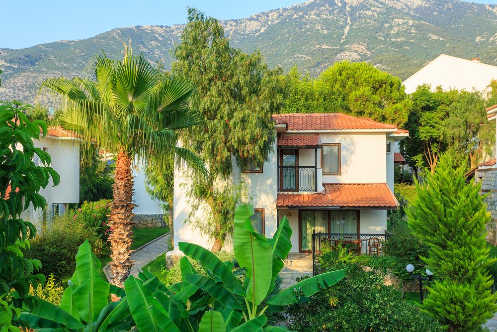 معلومات عنا